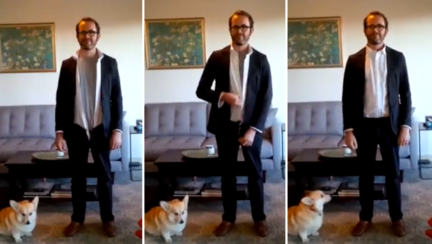 suitsy