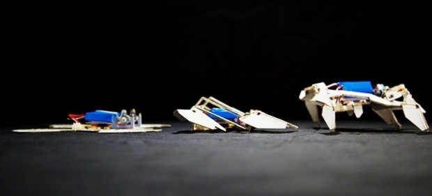 robot origami